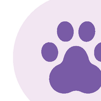 Wildlife & Animals