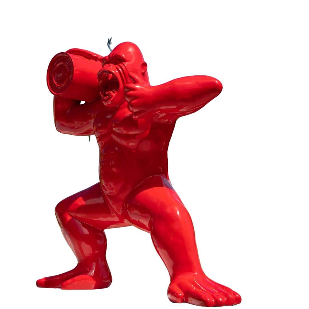 Package Image 8