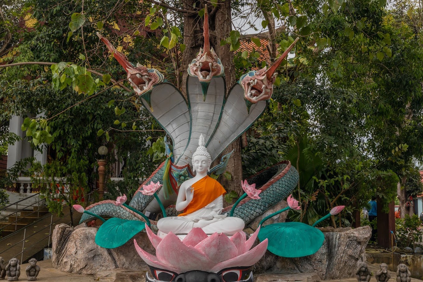 Image 4