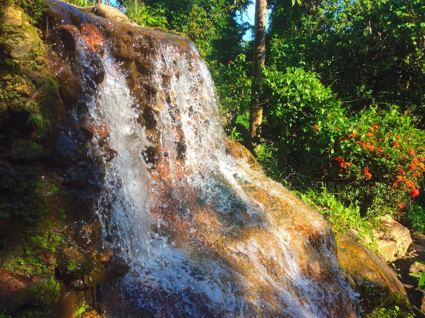 Image 0