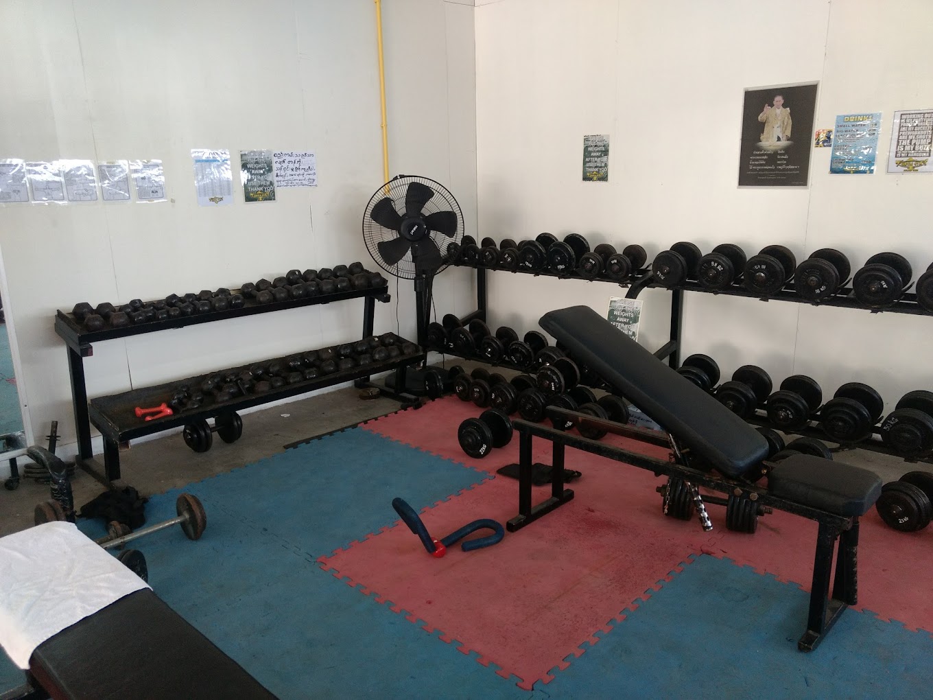 Package Image 3
