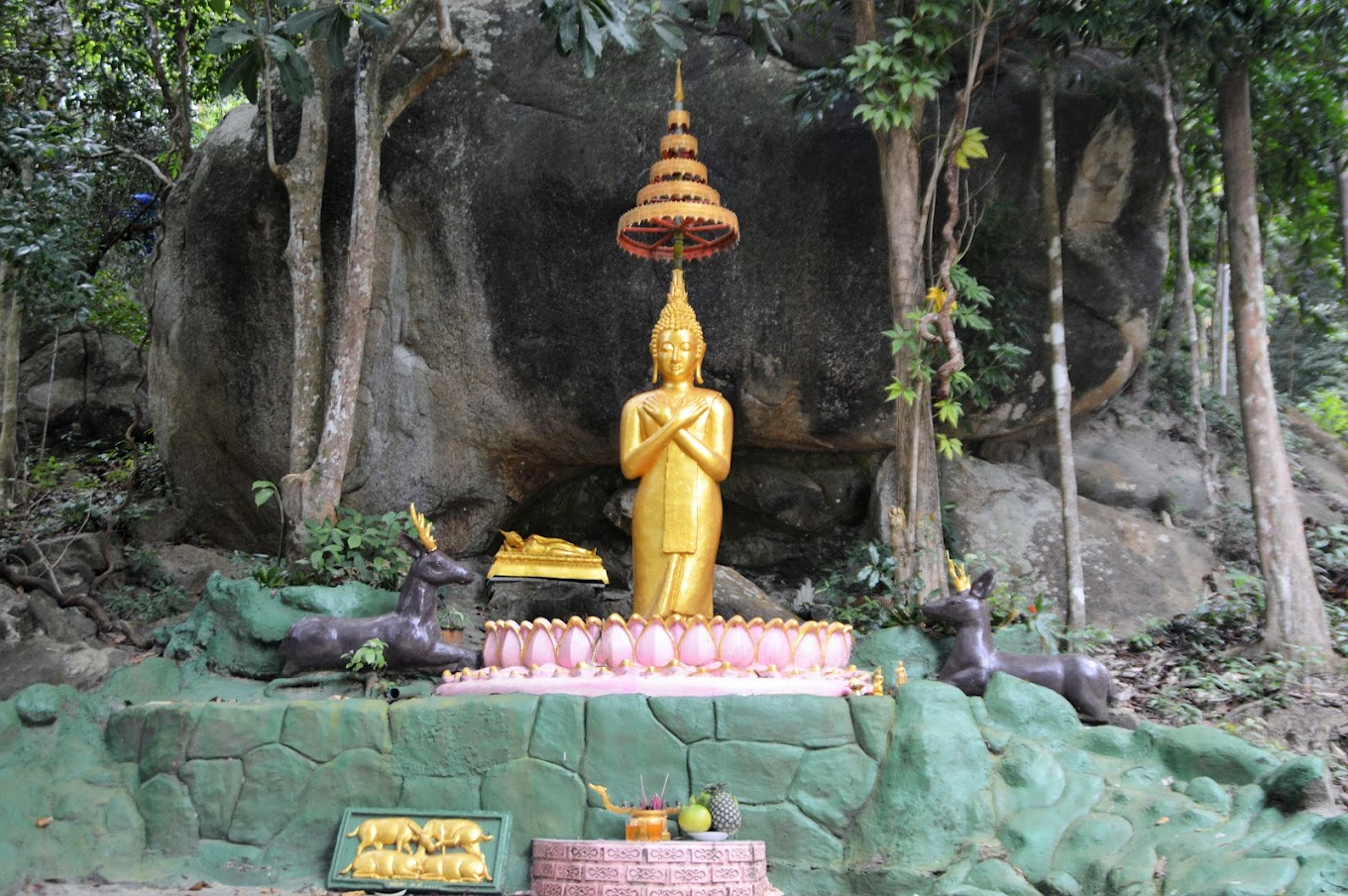 Image 2