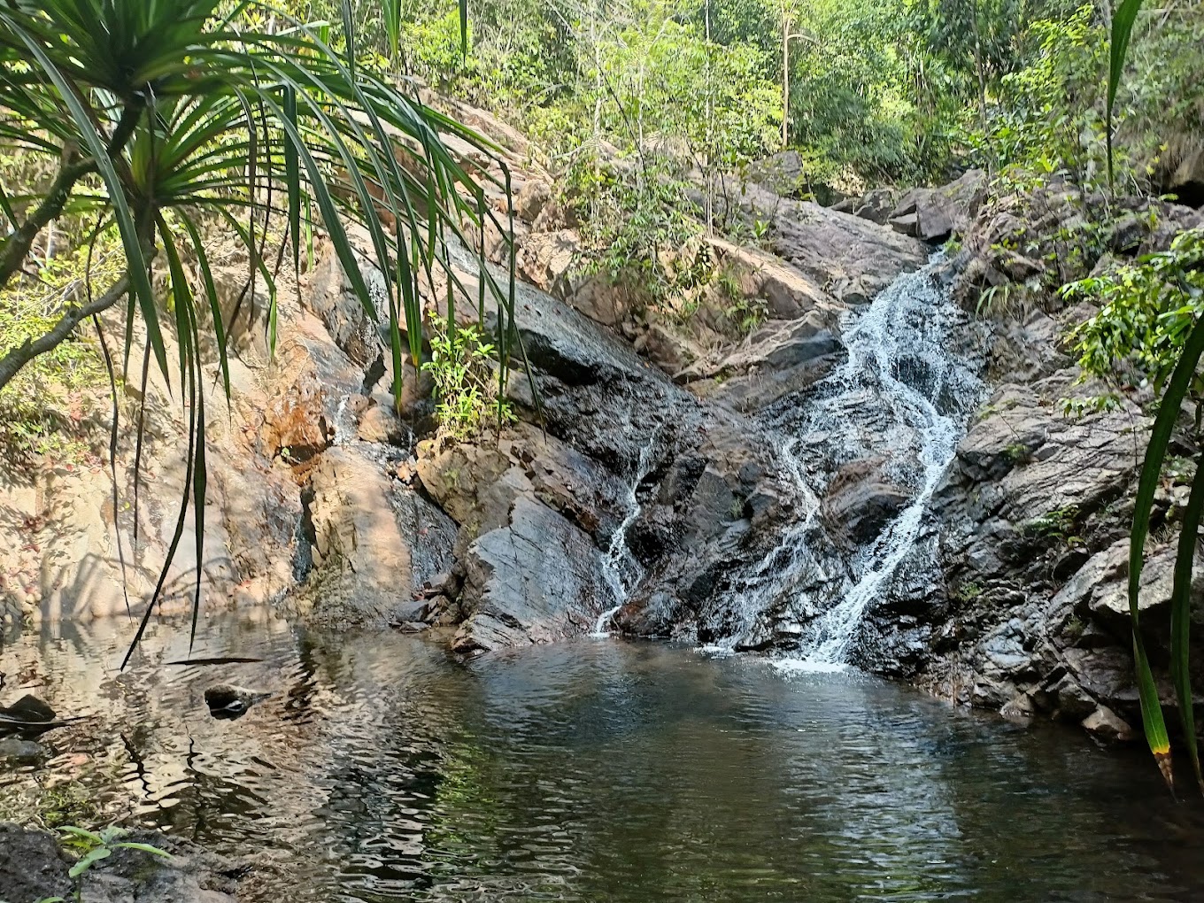 Image 0