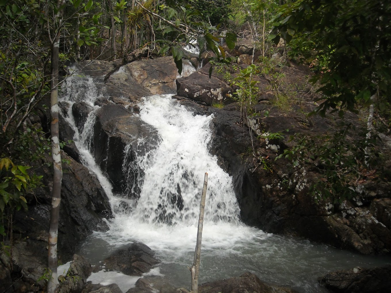 Image 0
