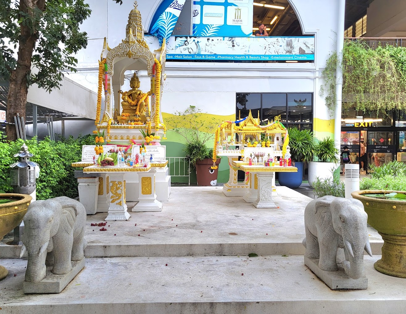 Image 2