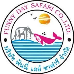 Funny Day Sea Tour