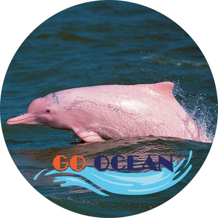 Go ocean