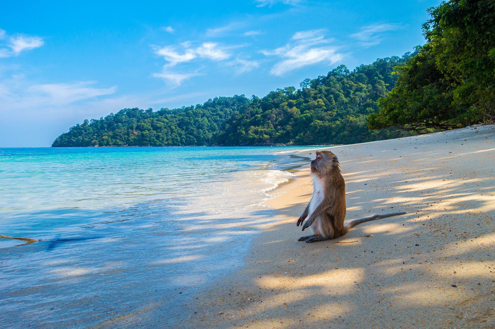 How to purchase land in Thailand?